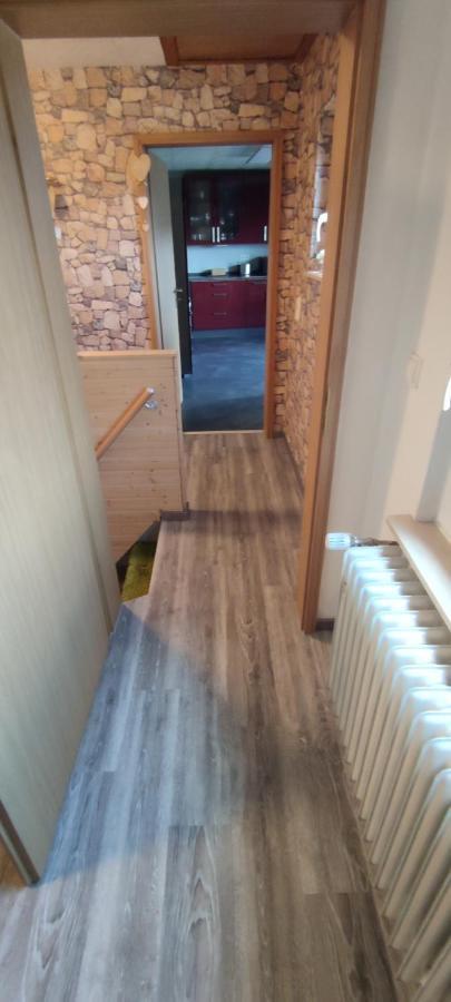 Apartament Haus Kunterbunt Mehlingen Zewnętrze zdjęcie